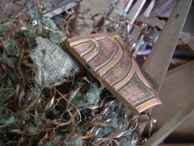 dscn1447.jpg